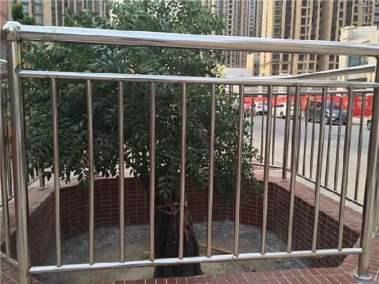 三年的文冠果树能产多少果,文冠果树二十年