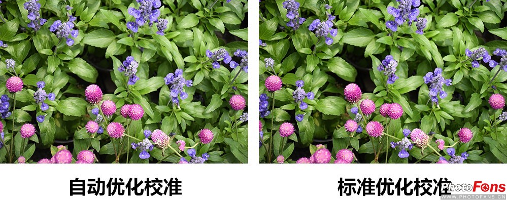 尼康d7500实拍测评,尼康d7500配50-1.8镜头拍什么最好