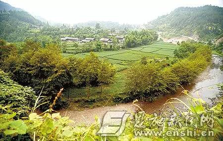 恩施各乡镇干部名单,恩施市各村村干部名单