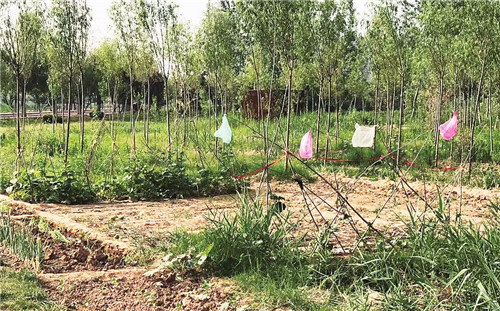 曝光不文明行为传递文明正能量,创文明城市劝阻市民不文明行为