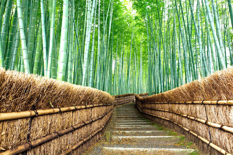 不仅有颜值还有内涵,贵州世界之最完整视频