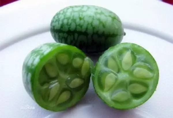 石柱“拇指姑娘”“金姑娘”开采啦！