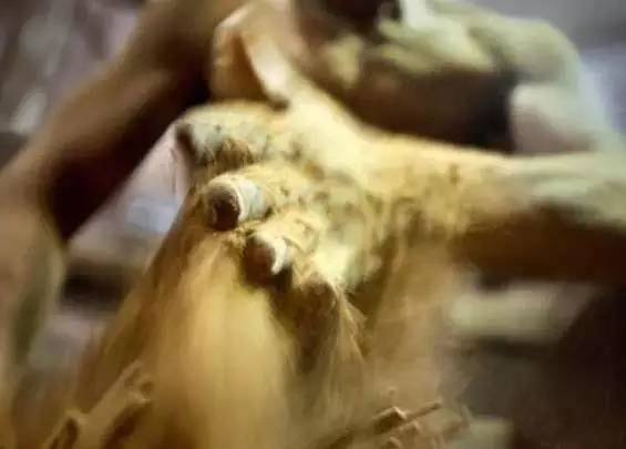 手制香,手制熏香