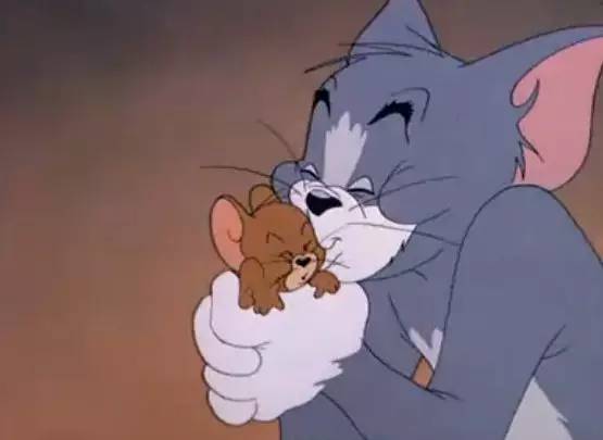 猫和老鼠爸爸,猫和老鼠的爸爸