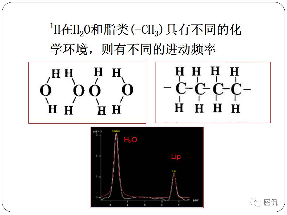 神经系统解剖ppt课件,神经内科课件ppt