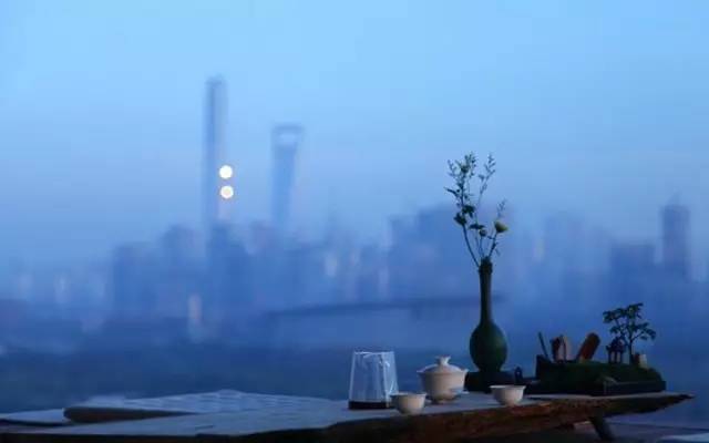 山葵芥末寿司,芥末寿司大战完整版