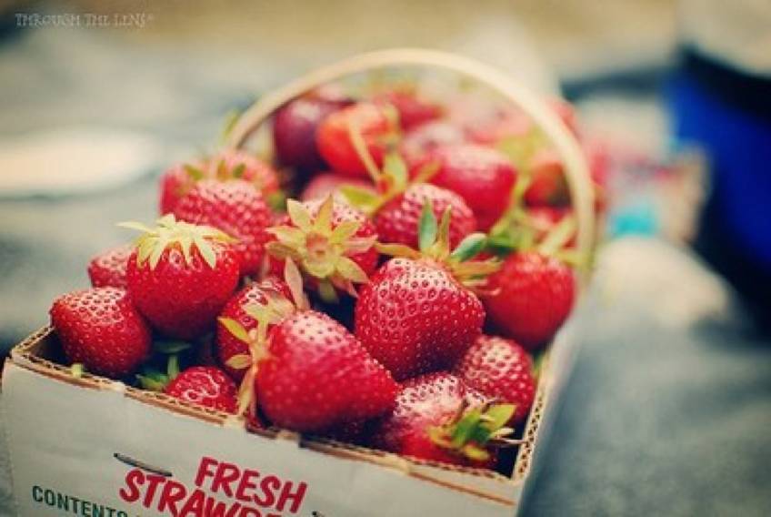 吃了能降火的水果有哪些,不怎么甜又很降火的水果