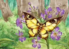 杨红樱作品适合孩子看吗,杨红樱的作品受孩子欢迎的原因