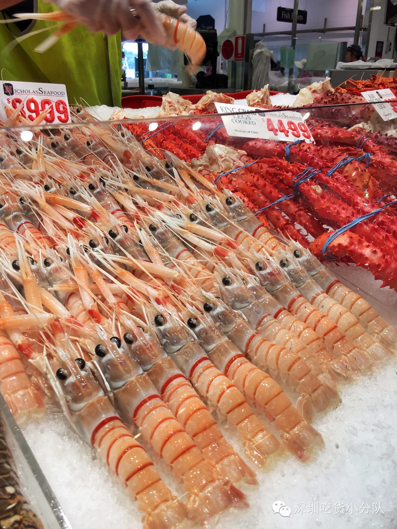 吃货浪游记丨我的胃说想去南半球看看~