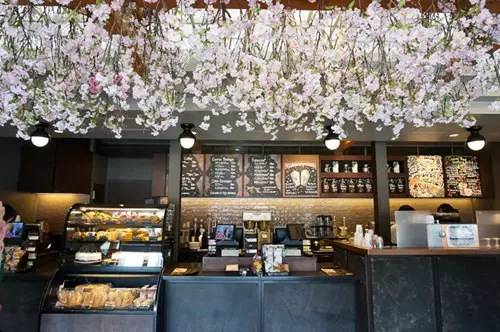 关于星爸爸的日常,星爸爸知识