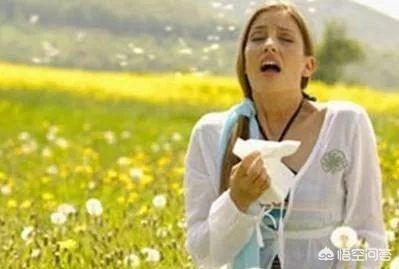 过敏性鼻炎怎么治6个小妙方,过敏性鼻炎急性发作喷嚏停不下来
