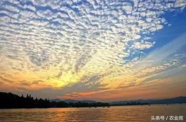 怎么根据云彩来判断天气,云彩识别天气图解