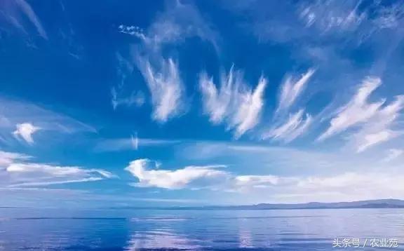 怎么根据云彩来判断天气,云彩识别天气图解