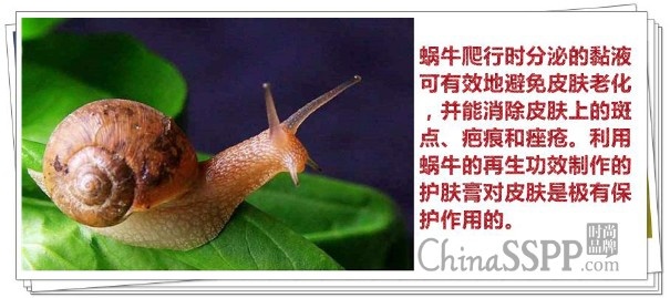 蜗牛修护霜测评,颐莲蜗牛修护霜评测