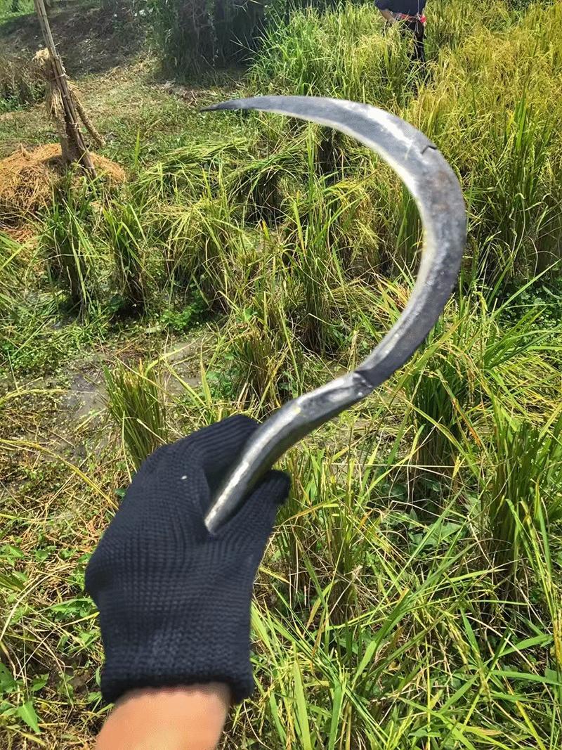 曼谷夜生活游记,泰国曼谷旅行攻略图片高清