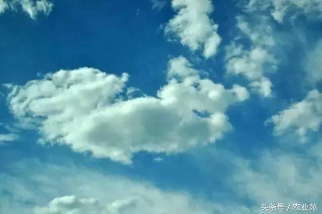 怎么根据云彩来判断天气,云彩识别天气图解