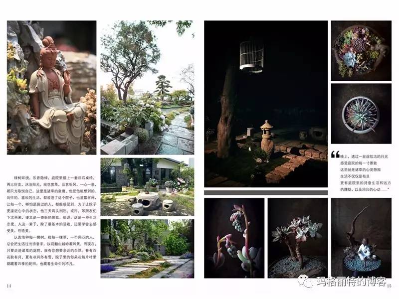 鎷滆涓滅鑽夊爞,鑺卞洯鎷滆