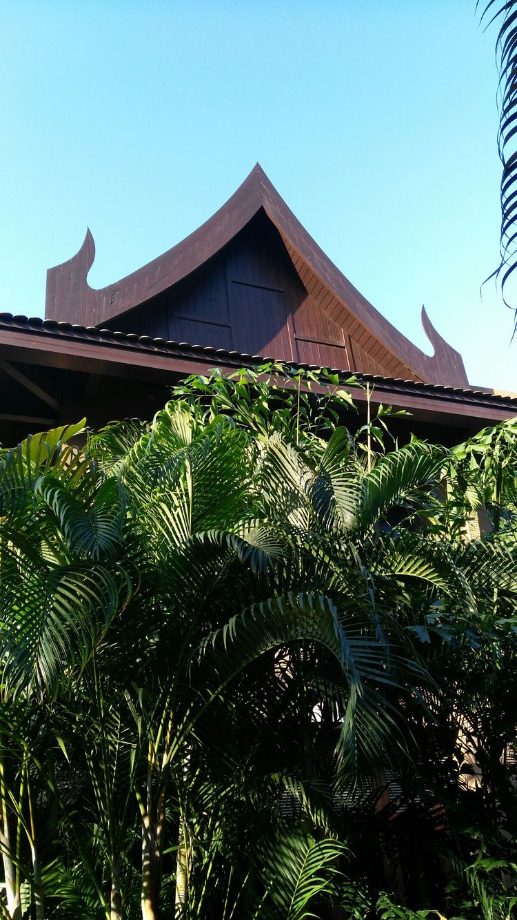 鍠滀箰瀹舵棌,鍠滀箰瀹舵棌鎴愬憳