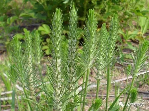 车到山前必有草,车到山前必有路山前山后都有