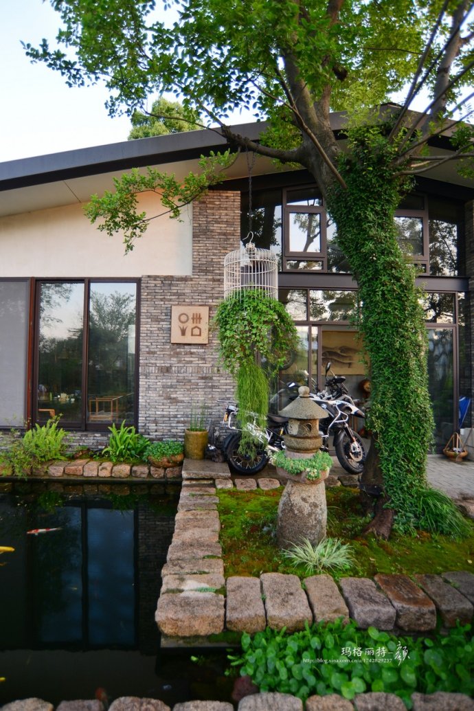 鎷滆涓滅鑽夊爞,鑺卞洯鎷滆