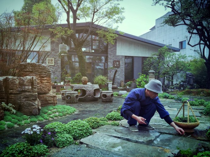 鎷滆涓滅鑽夊爞,鑺卞洯鎷滆