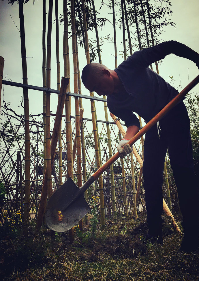 鎷滆涓滅鑽夊爞,鑺卞洯鎷滆