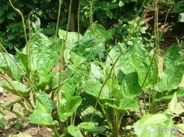 车到山前必有草,车到山前必有路山前山后都有