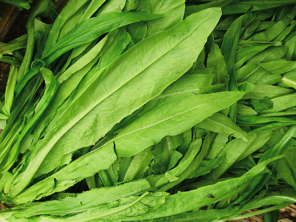 十大营养最好的蔬菜,绿叶蔬菜怎么烹饪营养最好