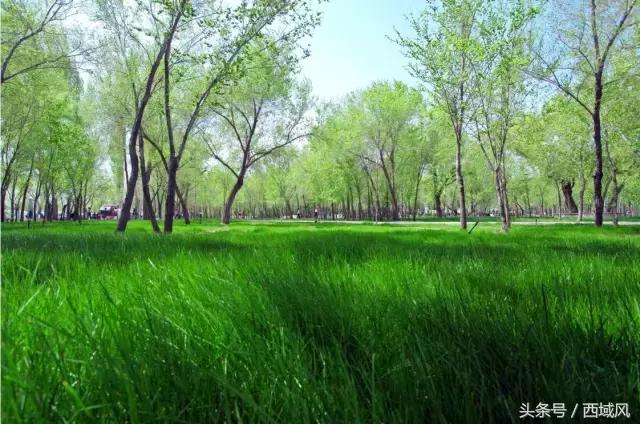 都说台湾民宿有特色，现在，昌吉也有了这样的好地方，它的名字叫芸农庄