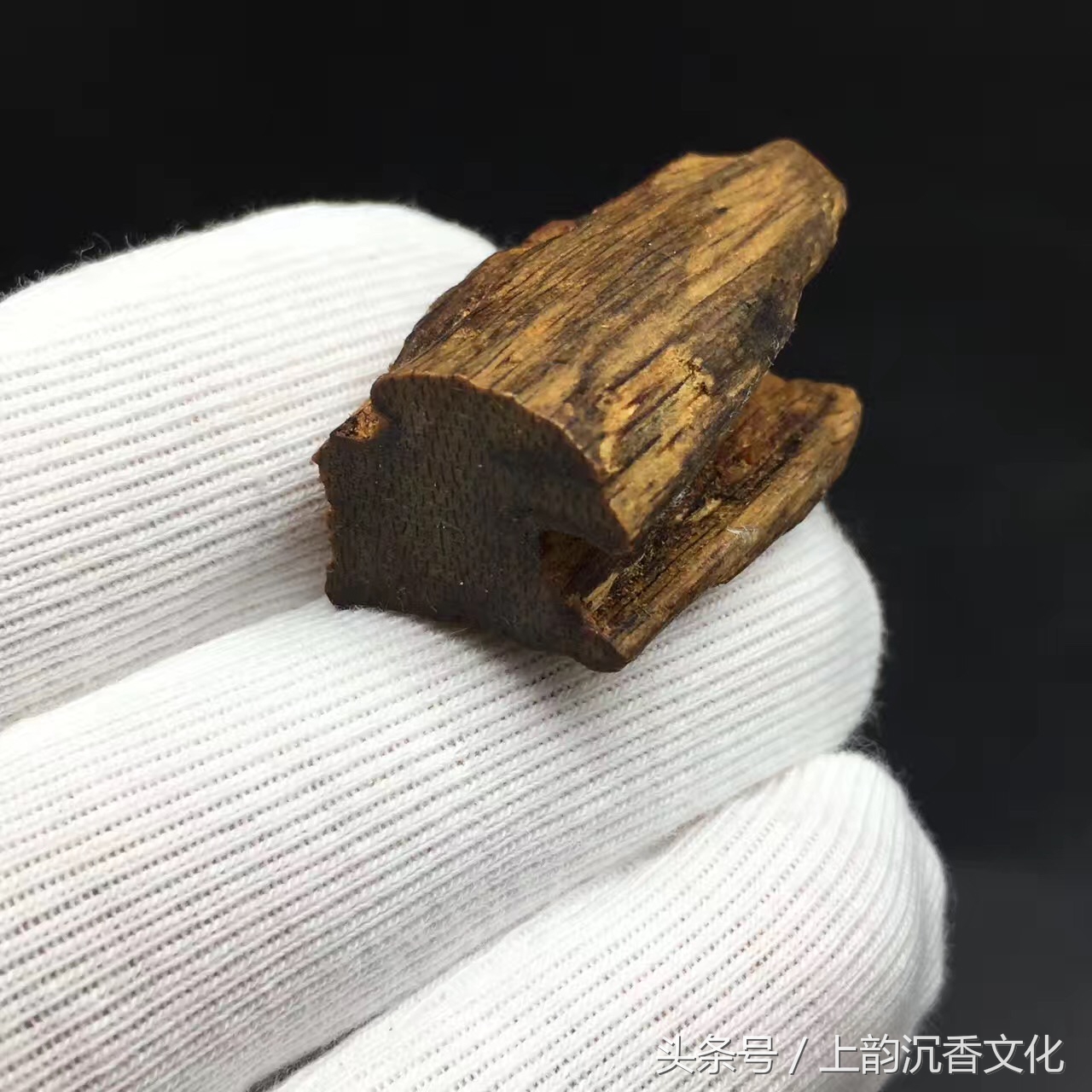 紫奇楠沉香的价格,广东奇楠沉香茶