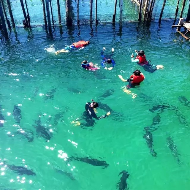 马来西亚古达,马来西亚亚庇古达