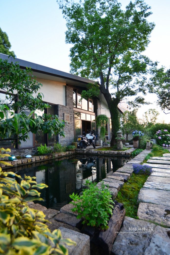 鎷滆涓滅鑽夊爞,鑺卞洯鎷滆