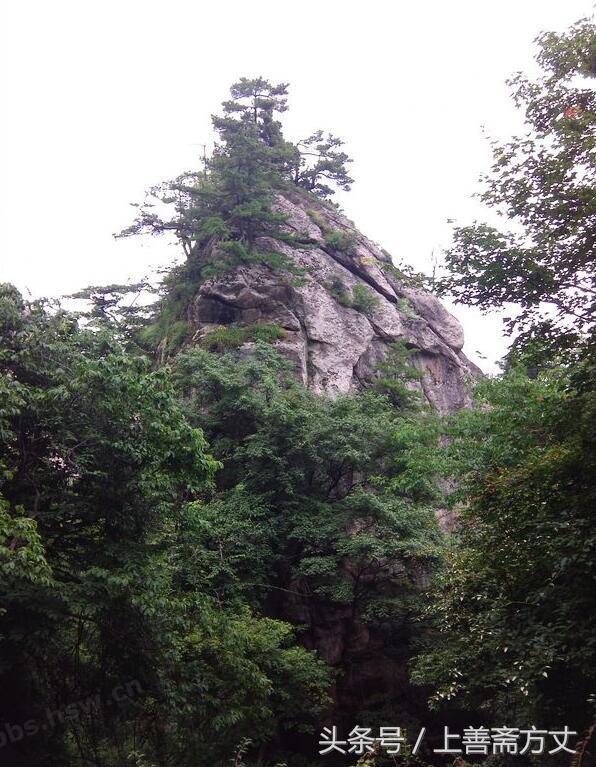 上官云飞游记五台山,上官云飞2018