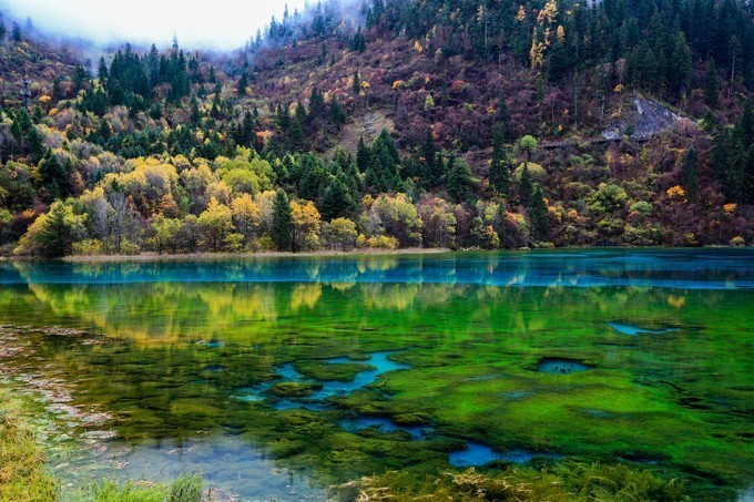 四川九寨沟特产美食,成都九寨美食攻略