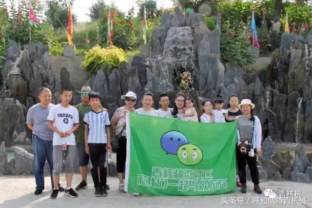 呼和浩特摘杏一日游,呼和浩特乌素图摘杏的地方