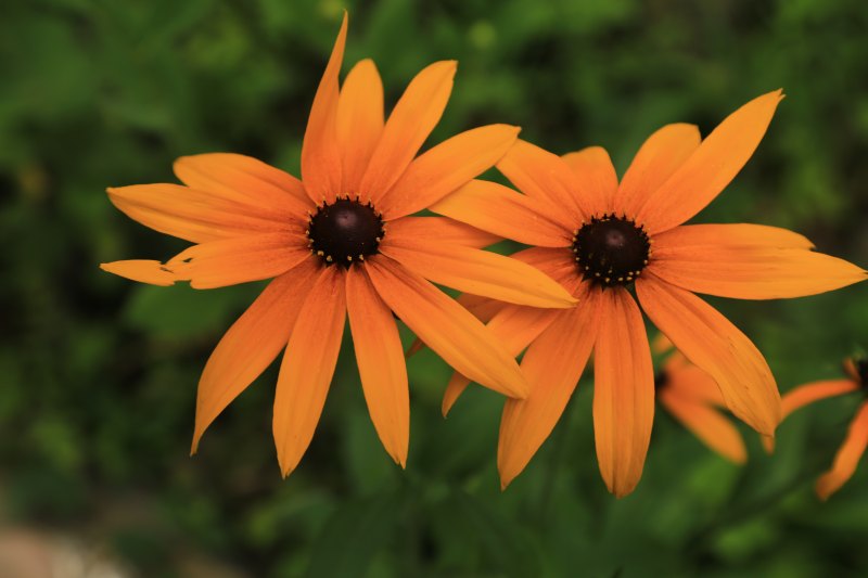 都说重庆热，但在她隔山相望的地方年均14-18度！