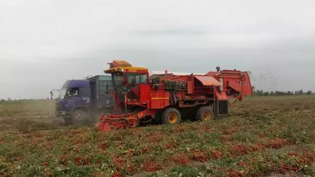 为了一碗面跑几百里,为了一碗面跑很远的人