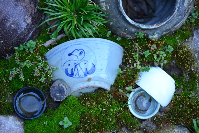 鎷滆涓滅鑽夊爞,鑺卞洯鎷滆