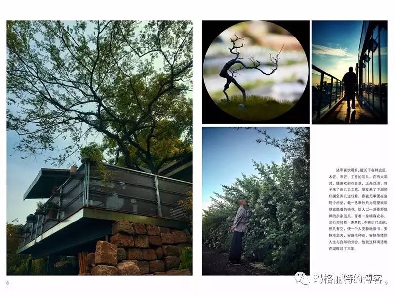 鎷滆涓滅鑽夊爞,鑺卞洯鎷滆