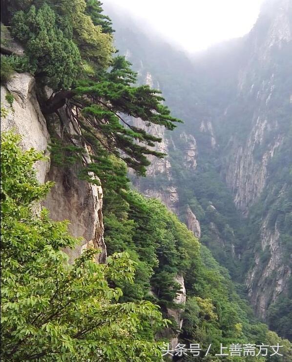 上官云飞游记五台山,上官云飞2018