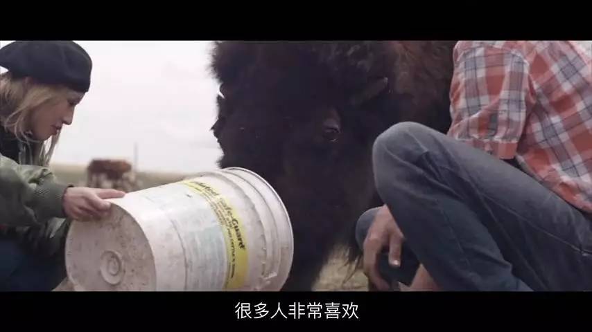 如此狂野的卡尔加里，可以造就怎样神奇的音乐？