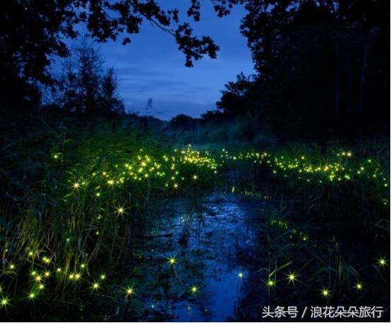 被二货哄去沙巴，我的入坑之旅浪花朵朵