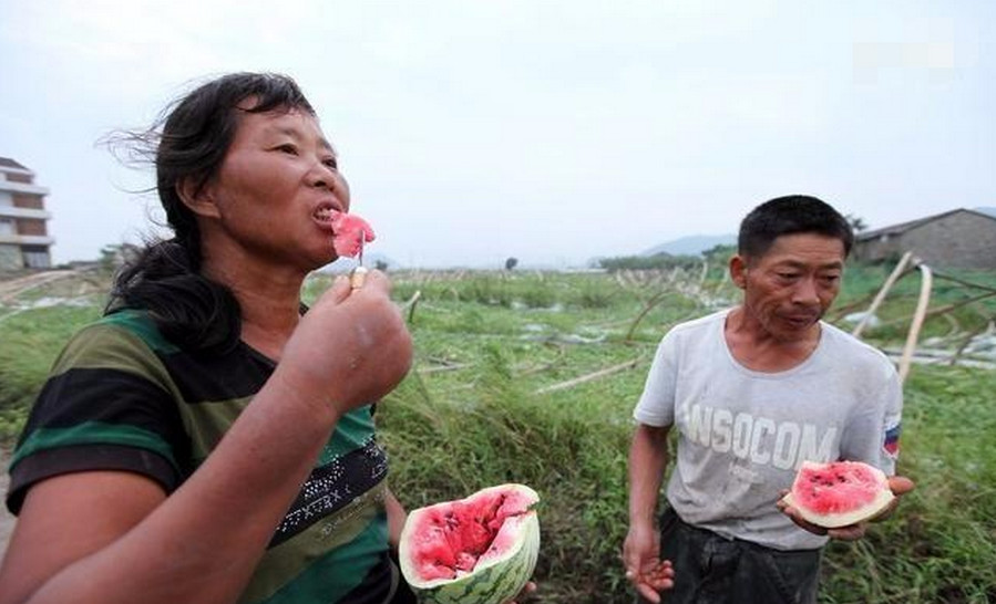 大棚西瓜被鸟啄用什么方法最有效,西瓜怎么驱鸟最快最有效