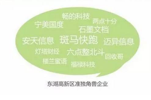 何止斗鱼、卷皮，武汉还有这些准“独角兽”企业，马云、马化腾、李彦宏都抢着来投资