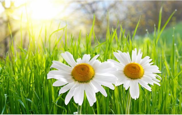 约会女生经常迟到正常吗,约会总迟到的女人