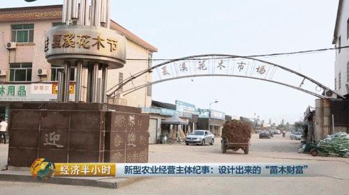 小盆栽生意赚钱吗,小盆栽几万块