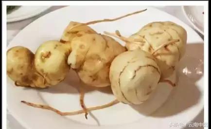 黄精吃多久才有效果,你真的会吃枸杞吗