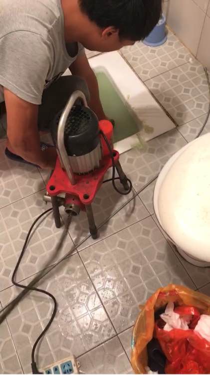 偷懒把猫砂倒到马桶里,猫砂倒厕所里把厕所堵视频