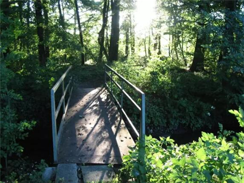 远离市区20公里住在月租600元的房子里，却可以在屋前看麦田，屋后看竹林，自给自足的生活是这样啊~