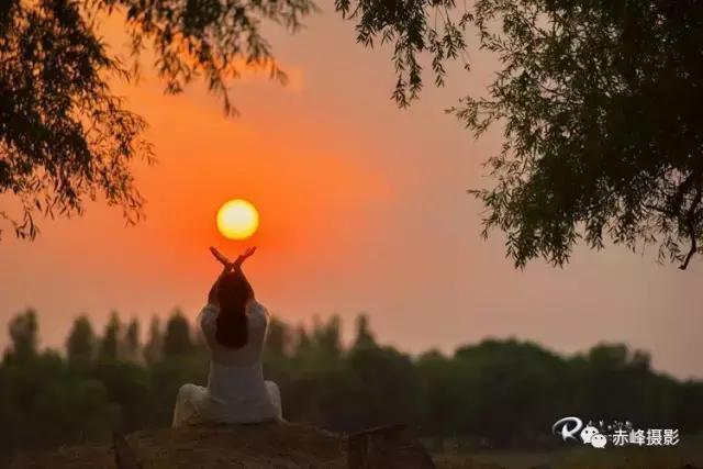 我爱夏日长深度解析,我爱夏日长在线观看